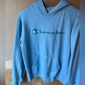 Boy 2 Hoodie Haul Champion & Wonder Nation